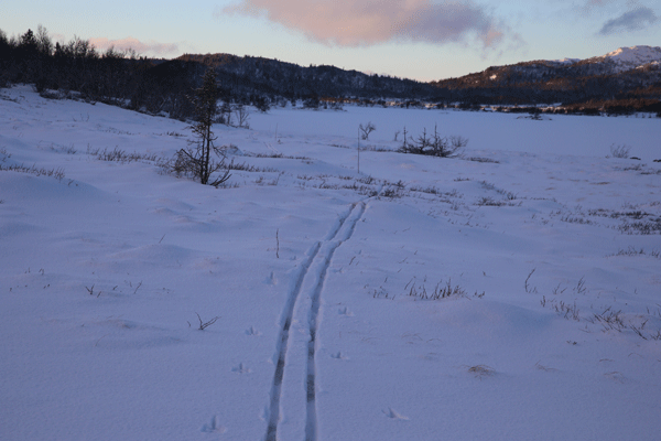 Skispor mot Nordre Økteren