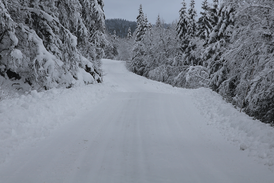 Eggedalsveien nord for Dansarfløtin